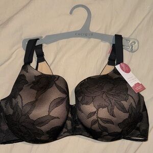 Cacique Black Floral Mesh Bra